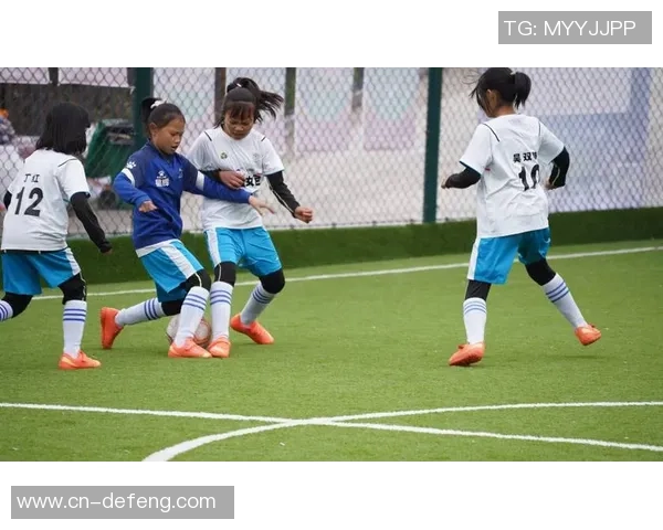 河南省女足球星的崛起与发展探析及其在中国足球中的地位